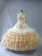Adorable Floor Length Ball Gowns Sleeveless Champagne Sweet 16 Quinceanera Dress Lace Up