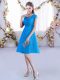 Baby Blue V-neck Lace Up Lace Quinceanera Court of Honor Dress Cap Sleeves