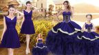 Floor Length Purple Quinceanera Dresses Organza Sleeveless Ruffles