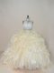 Champagne Organza Zipper Quinceanera Gowns Sleeveless Brush Train Beading and Lace