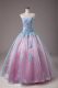 Floor Length Light Blue Sweet 16 Dress Organza Sleeveless Appliques