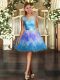 Fine Mini Length Multi-color Dress for Prom Tulle Sleeveless Lace and Ruffles