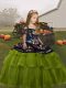 Olive Green Ball Gowns Embroidery Little Girls Pageant Dress Lace Up Tulle Sleeveless Floor Length