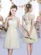 Champagne Cap Sleeves Lace and Bowknot Mini Length Court Dresses for Sweet 16