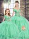 Ball Gowns Quinceanera Dress Apple Green Off The Shoulder Tulle Sleeveless Floor Length Lace Up