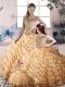 Champagne Sleeveless Organza Brush Train Lace Up Quince Ball Gowns for Sweet 16 and Quinceanera