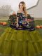 Fantastic Tulle Sleeveless Sweet 16 Quinceanera Dress Brush Train and Embroidery and Ruffled Layers