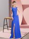 Pretty Blue Column/Sheath Chiffon Scoop Sleeveless Lace and Appliques Floor Length Zipper Evening Dress