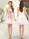 A-line Prom Party Dress Champagne Sweetheart Tulle Sleeveless Mini Length Lace Up