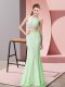 Simple Halter Top Sleeveless Lace Formal Evening Gowns Beading and Lace Backless