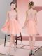 Peach A-line Beading Prom Gown Zipper Tulle Sleeveless Knee Length