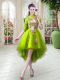 Romantic A-line Dress for Prom Yellow Green High-neck Tulle Half Sleeves High Low Zipper