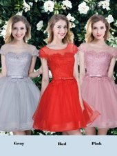 Free and Easy Scoop Tulle Short Sleeves Mini Length Vestidos de Damas and Appliques and Belt