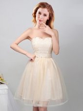 Custom Design Tulle Sleeveless Mini Length Bridesmaid Dress and Lace and Appliques