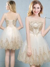 Amazing Scoop Sleeveless Tulle Mini Length Lace Up Quinceanera Court Dresses in Champagne for with Appliques