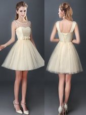 Fashion Scoop Sleeveless Lace Up Quinceanera Dama Dress Champagne Tulle