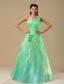 Apple Green Hand Made Folwers and Ruched Bodice In Springfield Illinois For Prom Dress