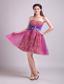Fuchsia A-line Sweetheart Short Organza and Zebra or Leopard Beading Prom / Homecoming Dress