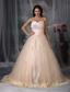 Beautiful A-line / Princess Sweetheart Brush Train Tulle Embroidery Wedding Dress