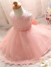 Trendy Scoop Baby Pink A-line Lace Flower Girl Dresses Zipper Tulle Sleeveless Floor Length