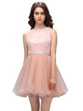 Exquisite Scoop Mini Length Baby Pink Prom Evening Gown Organza Sleeveless Beading and Lace