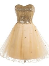 Popular Organza Sweetheart Sleeveless Lace Up Sequins Pageant Dress Womens in Champagne
