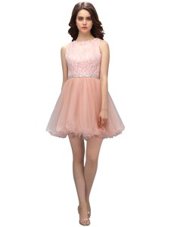 Scoop Sleeveless Zipper Prom Dresses Baby Pink Organza