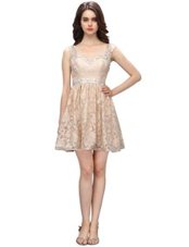 Glamorous Champagne Sleeveless Mini Length Lace Side Zipper Prom Evening Gown