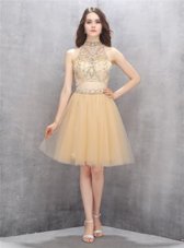 Super A-line Party Dress Champagne High-neck Tulle Sleeveless Knee Length Zipper