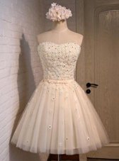 Great Champagne Organza Lace Up Sweetheart Sleeveless Mini Length Prom Party Dress Appliques