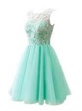Dynamic Scoop Sleeveless Tulle Hoco Dress Lace Clasp Handle