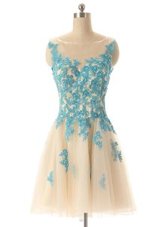 Pretty Bateau Sleeveless Tulle Prom Gown Beading and Appliques Zipper