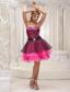 Hot Pink and Black Prom / Cocktail Dress For 2013 Zebra and Organza Beaded Decorate Wasit Mini-length
