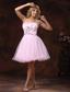 Strapless Baby Pink and Custom Made For 2013 Prom Dress With Beading Organza In Lincoln Nebraska