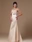 Satin Champagne Strapless Column Brush Simple Prom Gowns In Alexander City Alabama