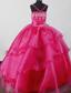 Beautiful Straps Fuchsia Little Girl Pageant Dresses With Beading Organza