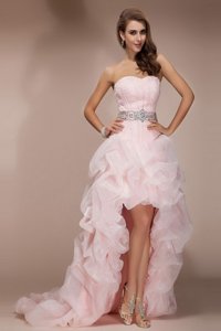 Adorable Floor Length Ball Gowns Sleeveless Baby Pink Prom Gown Brush Train Zipper