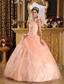 Light Pink Ball Gown One Shoulder Floor-length Appliques Tulle Champagne Quinceanera Dress