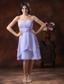 2013 The Style Popular In Queen Creek Arizona Lilac Strapless Bridesmaid Dress