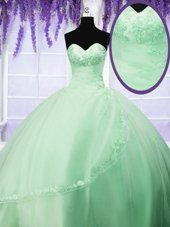 Modern Sweetheart Lace Up Appliques Quinceanera Gown Sleeveless