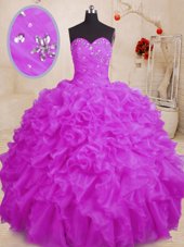 Extravagant Ball Gowns Quinceanera Gown Purple Sweetheart Organza Sleeveless Floor Length Lace Up