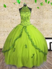 Best Halter Top Sleeveless Sweet 16 Dress Floor Length Beading Yellow Green Tulle