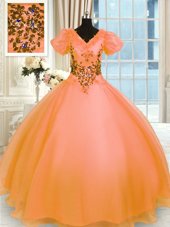 Comfortable Ball Gowns Quince Ball Gowns Orange V-neck Organza Short Sleeves Floor Length Lace Up