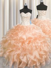 Great Visible Boning Zipper Up Organza Sleeveless Floor Length Quinceanera Dress and Beading and Ruffles