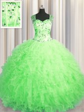 Best Selling See Through Zipper Up Tulle Sleeveless Floor Length Quince Ball Gowns and Beading and Ruffles