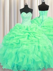 Edgy Organza Sleeveless Floor Length Sweet 16 Quinceanera Dress and Beading and Ruffles and Pick Ups