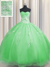 Traditional Zipper Up Sleeveless Floor Length Beading and Appliques Zipper Quinceanera Gowns with