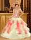Multi-Color Ball Gown Sweetheart Floor-length Organza Appliques Quinceanera Dress