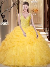 Organza V-neck Sleeveless Backless Lace and Appliques and Ruffles and Pick Ups Sweet 16 Dresses in Gold