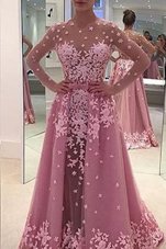 Rose Pink Zipper Evening Dress Appliques Long Sleeves With Train Sweep Train